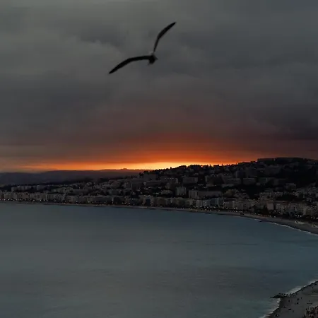 Oda ve Kahvaltı My Nice